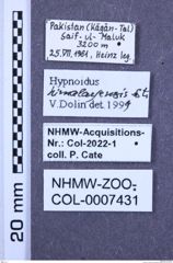 Etiketten zu Hypnoidus himalayensis (NHMW-ZOO-COL-0007431)